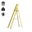 Platform Ladder